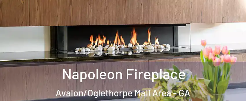 Napoleon Fireplace Avalon/Oglethorpe Mall Area - GA