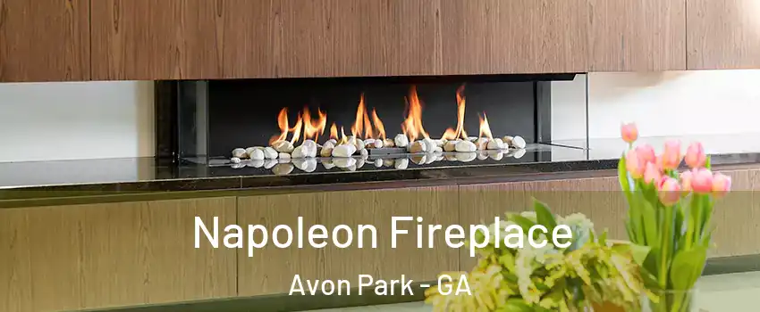 Napoleon Fireplace Avon Park - GA
