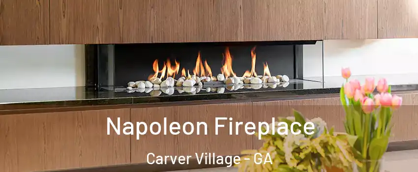 Napoleon Fireplace Carver Village - GA