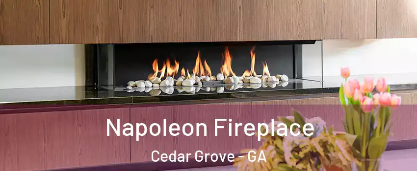 Napoleon Fireplace Cedar Grove - GA