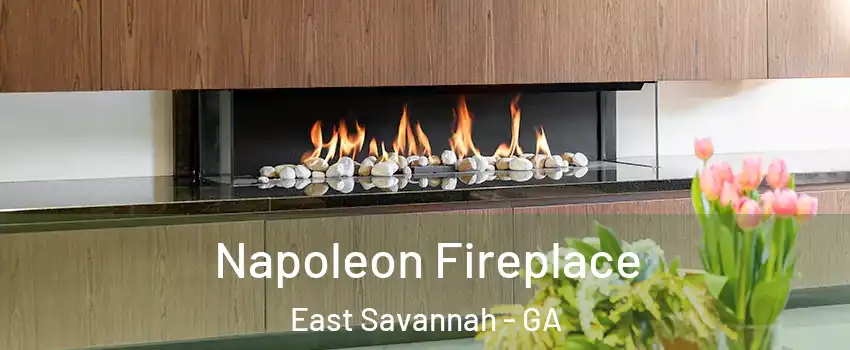 Napoleon Fireplace East Savannah - GA