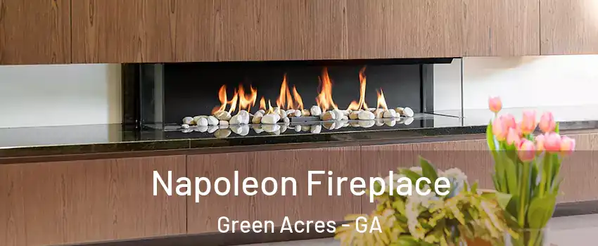 Napoleon Fireplace Green Acres - GA