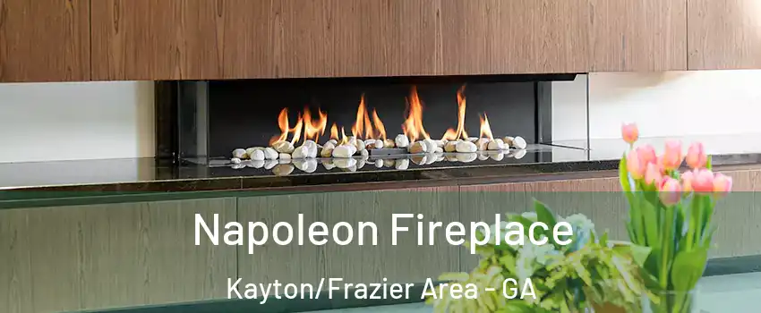 Napoleon Fireplace Kayton/Frazier Area - GA