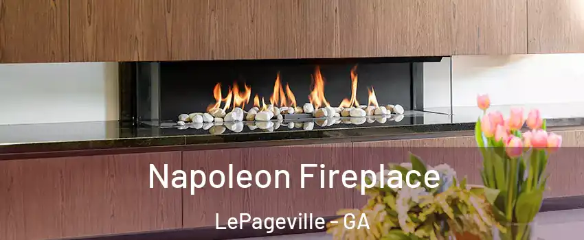 Napoleon Fireplace LePageville - GA