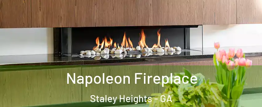 Napoleon Fireplace Staley Heights - GA