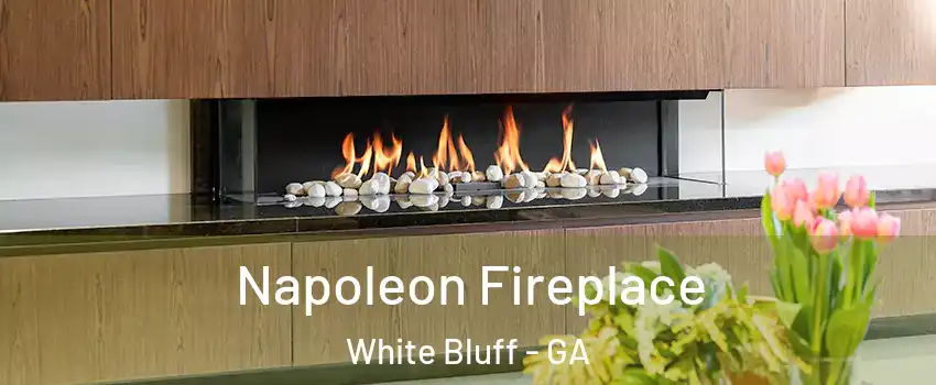 Napoleon Fireplace White Bluff - GA