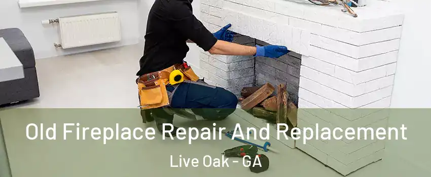 Old Fireplace Repair And Replacement Live Oak - GA