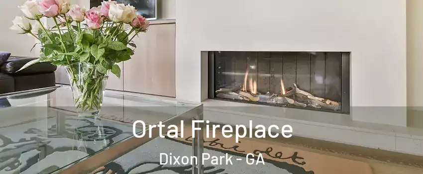 Ortal Fireplace Dixon Park - GA