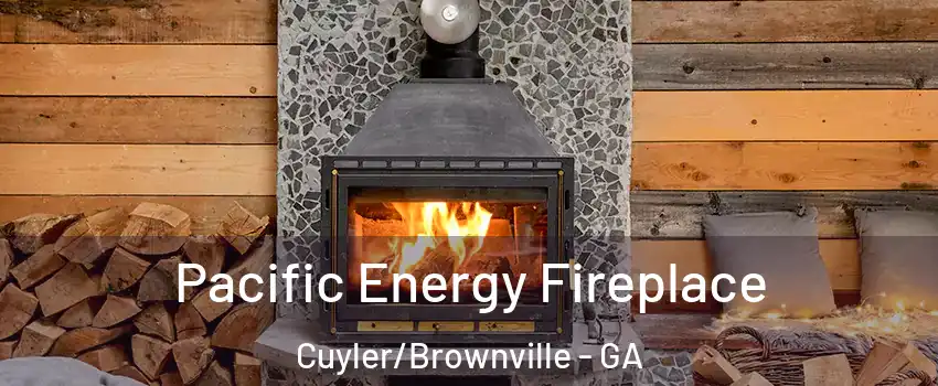 Pacific Energy Fireplace Cuyler/Brownville - GA