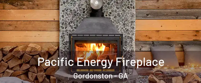 Pacific Energy Fireplace Gordonston - GA