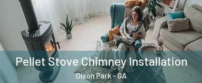 Pellet Stove Chimney Installation Dixon Park - GA