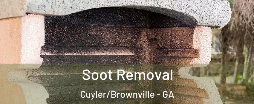 Soot Removal Cuyler/Brownville - GA