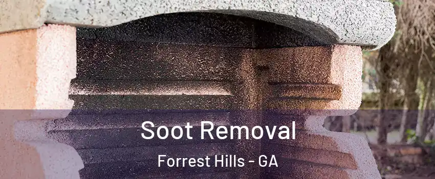 Soot Removal Forrest Hills - GA