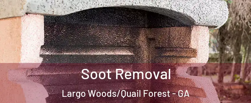 Soot Removal Largo Woods/Quail Forest - GA