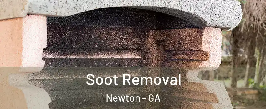 Soot Removal Newton - GA