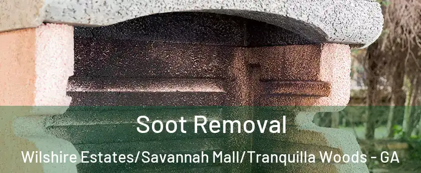 Soot Removal Wilshire Estates/Savannah Mall/Tranquilla Woods - GA