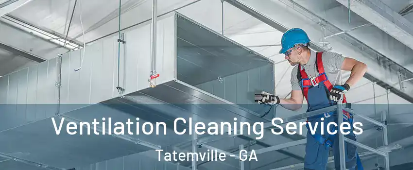 Ventilation Cleaning Services Tatemville - GA