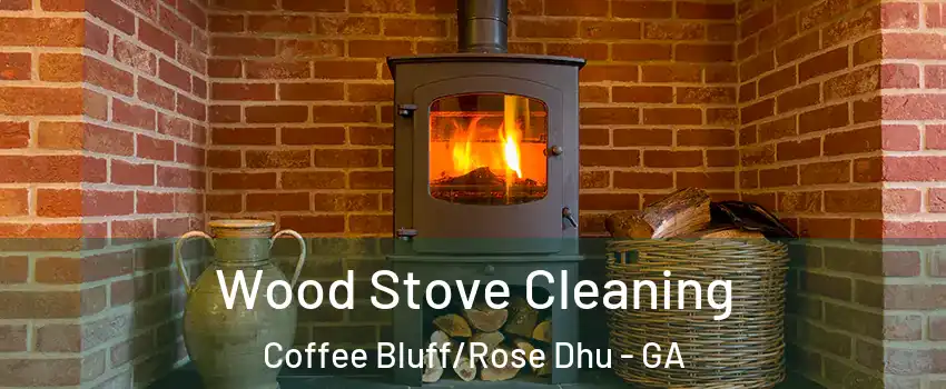 Wood Stove Cleaning Coffee Bluff/Rose Dhu - GA