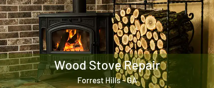 Wood Stove Repair Forrest Hills - GA